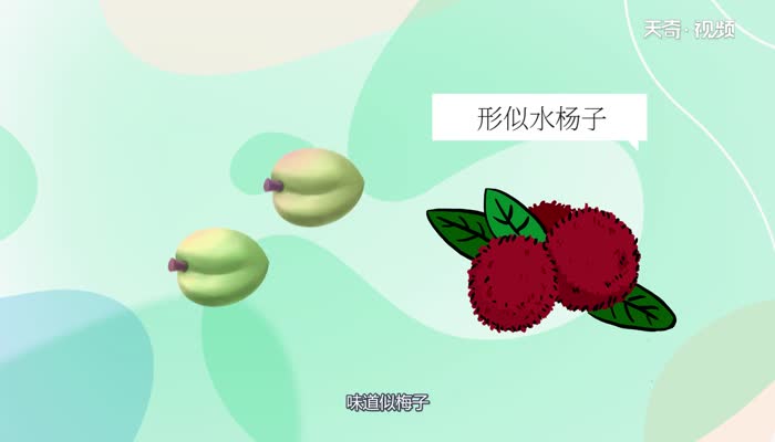 杨梅的热量 杨梅有多少热量