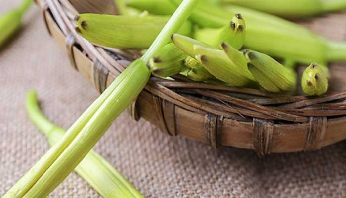 干黄花菜需要抽芯吗 黄花菜晒干要不要抽芯
