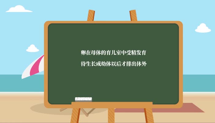 螺蛳是胎生还是卵生 螺蛳是胎生还是卵生