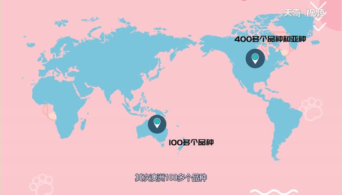 小龙虾有几个品种 小龙虾品种有几个