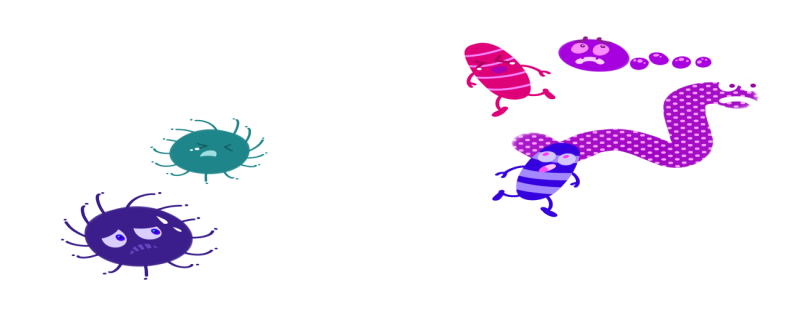 昆虫的装死主要内容 昆虫的装死主要内容