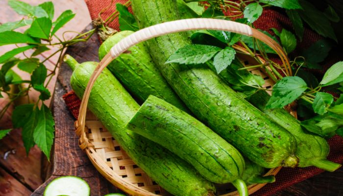 吃丝瓜有什么好处 吃丝瓜有什么作用