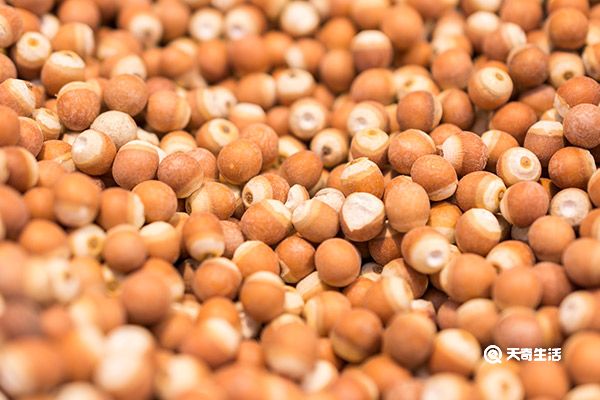 芡实米的功效与作用 芡实米的功效与作用是什么