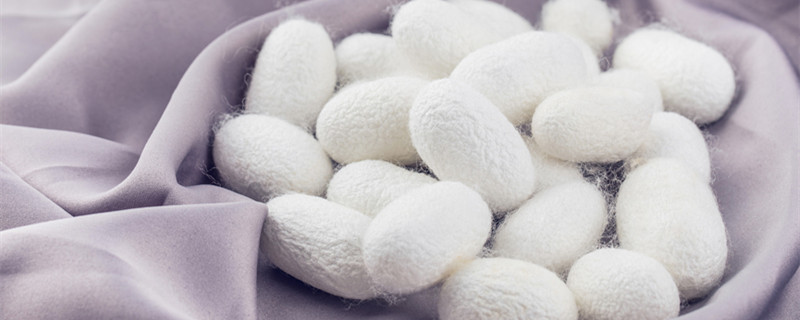 mulberry silk是什么面料 mulberry silk是什么面料做的