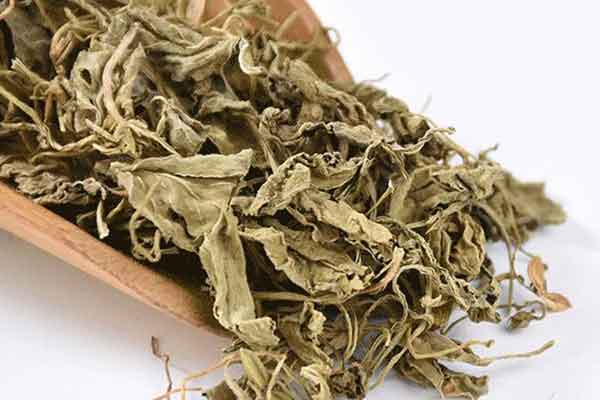 地丁草的功效与作用 地丁草的禁忌人群