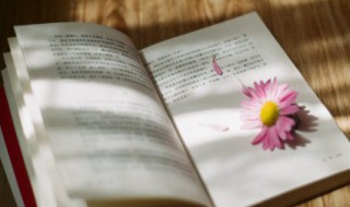 关于经典人生语录（关于经典人生语录短句）
