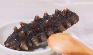 吃海参的功效与作用是哪些（吃海参的功效与作用是哪些食物）