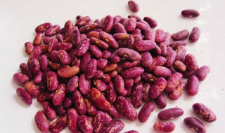 花芸豆的储存方法（芸豆的贮存方法）