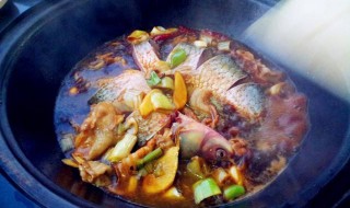 跟鱼相克的食物有哪些（跟鱼相克的食物有哪些呢）