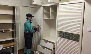 什么东西去除甲醛味最快（哪样东西去除甲醛最快）