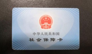 上海社保怎么查询（上海社保怎么查询个人账户）