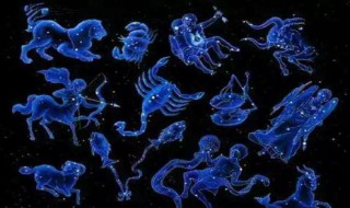 十二星座的守护花（十二星座的守护花精灵王图片）
