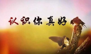 认识你真好的句子 认识你真好的句子温暖短句