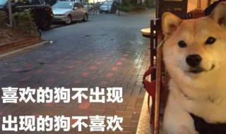 单身狗七夕发说说（单身狗发的七夕说说）