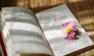 七夕话语朋友圈（七夕话语朋友圈图片）