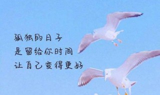 十句话穿透人心的句子 十句话穿透人心的句子短句