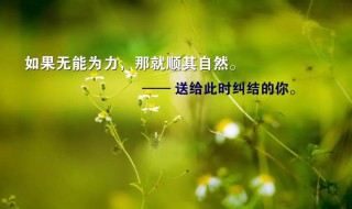 最近很火的正能量句子（最近很火的正能量句子图片）