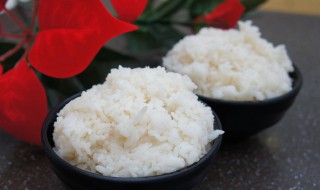 减肥是吃肉不吃米饭吗（减肥是吃肉不吃米饭吗会胖吗）