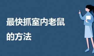 最快抓室内老鼠的方法 怎么逮住室内老鼠