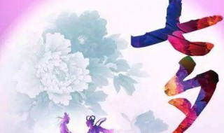 情人节表达爱的数字（情人节表达爱的数字有哪些）