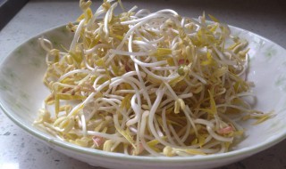 怎么发豆芽简单做法（怎么发豆芽简单做法视频）