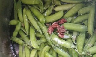 豆荚怎么放冰箱保存 豆荚怎么放冰箱保存好