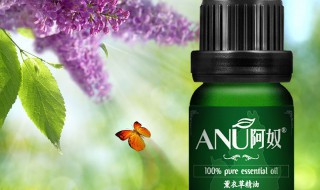 薰衣草精油的作用 薰衣草精油的作用及使用方法