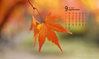 9月份节日 9月份节日和纪念日