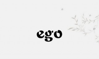 ego是什么意思中文 ego是什么意思中文翻译
