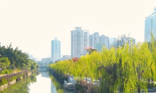 中国十大宜居城市（中国最适合养老居住的前十名城市）