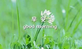早安最美一句话（早安最美一句话简短的）