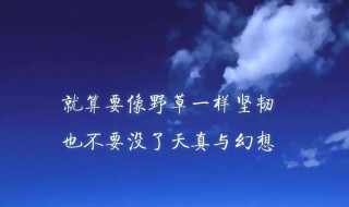 月初第一天励志的语句 月初第一天励志的语句简短