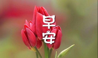 早安语录阳光励志 早安语录阳光励志短句