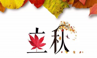 立秋的句子短句唯美（立秋的句子短句唯美简短）
