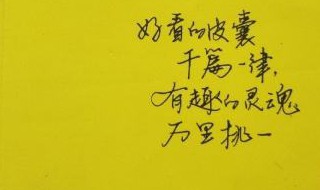 好看的皮囊有趣的灵魂文案 总得找点有趣的灵魂之类的文案