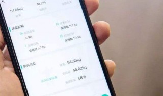 怎么看个人体脂 怎么看个人体脂高不高