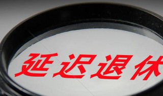 到退休年龄能延迟退休吗（到退休年龄能延迟退休吗）