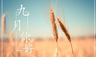 迎接九月的唯美句子 迎接九月的唯美句子精选