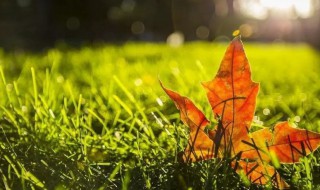 秋分后天气还热吗（秋分后天气还热吗北京）