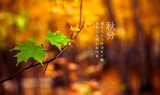 描写秋分的句子 关于秋分的语句