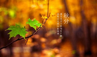 秋分说说朋友圈心情唯美句子（秋分的朋友圈说说）
