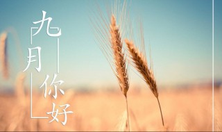 迎接九月的文案（关于迎接九月的文案）