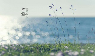 白露的小文案（白露文案短句）