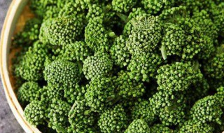 三七花泡水喝有什么功效和作用 三七花泡水喝的功效与禁忌与副作用