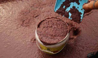 鱼虫怎么养（鱼虫怎么养不发臭）