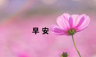 2020年美好的早安祝福语朋友圈（2020年祝福早安的唯美句子）