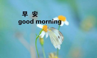 简单的治愈系早安心语微信（温暖很治愈的早安心语）