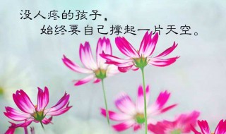 优美的早安心语语录（优美的早安心语语录大全）