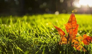 9月份的鼓励语 九月鼓励语