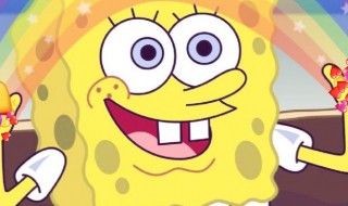 海绵是如何进食的 海绵是如何进食的视频